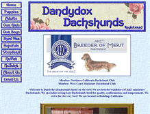 Tablet Screenshot of dandydoxdachshunds.com